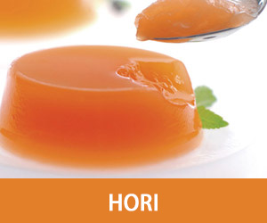 HORI iiKʪG