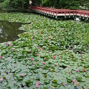 八郎沼