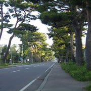 赤松街道