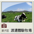 窪