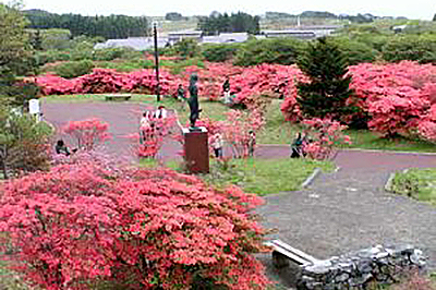 Esan Azalea Park,fsMs